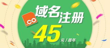 互聯(lián)網(wǎng)域名注冊服務(wù) 連接未來的數(shù)字鑰匙